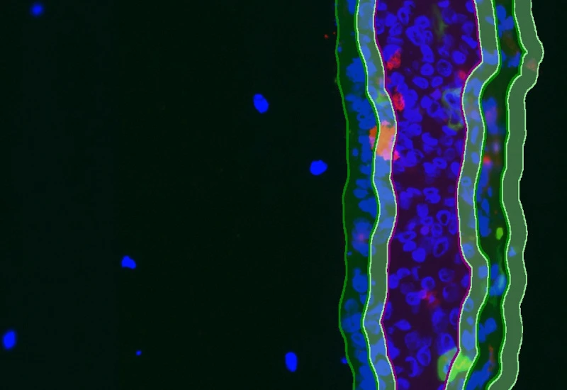 Dynamic Content Image